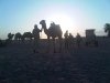 bigadventure006_fs