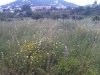 bigadventure009_fs