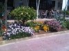 bigadventure010_fs