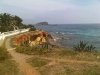 bigadventure017_fs