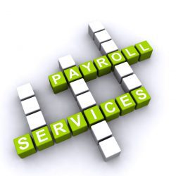 Payroll_Services_250_250